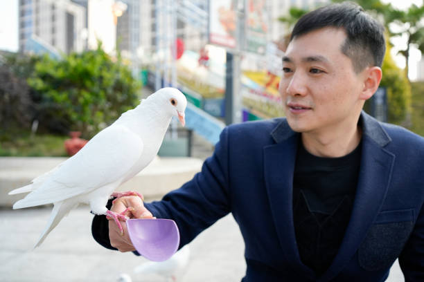 istock A man feeds pigeons in the square 1458523336