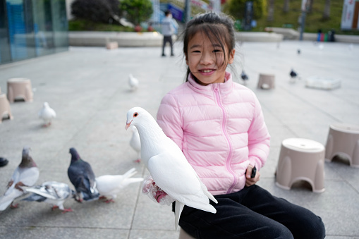 A little girl is feeding pigeons in the square