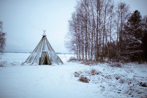 Lapland temporary shelter by the Sami People in snowy forest at day in Rovaniemi, Finland