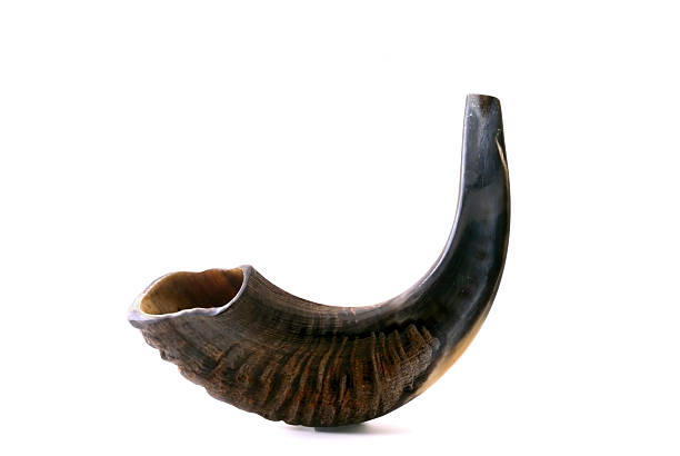 shofar nero - corno da caccia foto e immagini stock