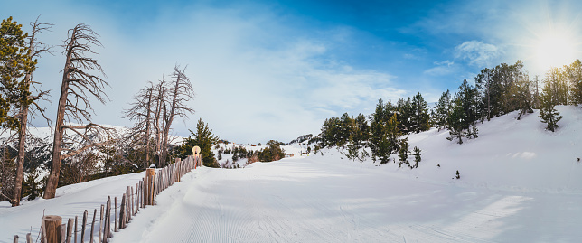 Expert freestyle skier rides up a kicker and does a breathtaking trick on a sunny day. Athletic male tourist rides off a massive snowpark kicker in Vogel, Slovenia and does a spectacular 360 grab.