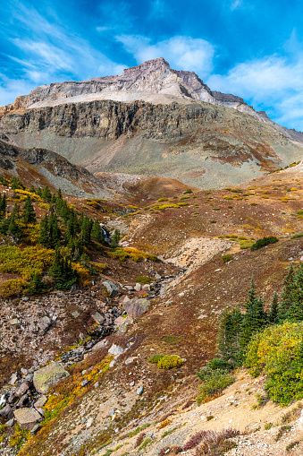 The serene landscape of the Yankee Boy Basin near Ouray, Colorado on a sunny late summer day.