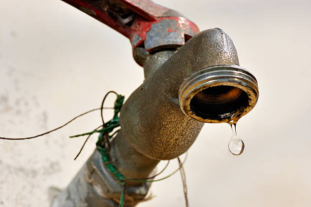 istock Out of Water 145853038