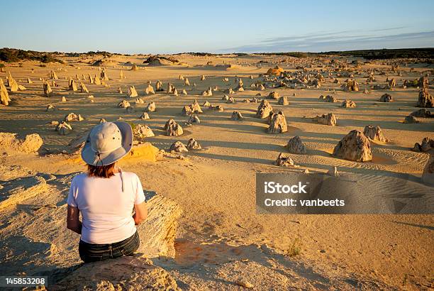 O Deserto Dos Pináculos Na Austrália - Fotografias de stock e mais imagens de Adulto - Adulto, Ao Ar Livre, Areia