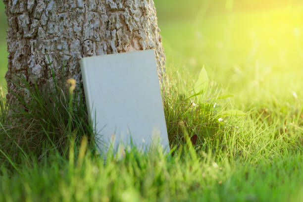 Book  in the green grass with tree