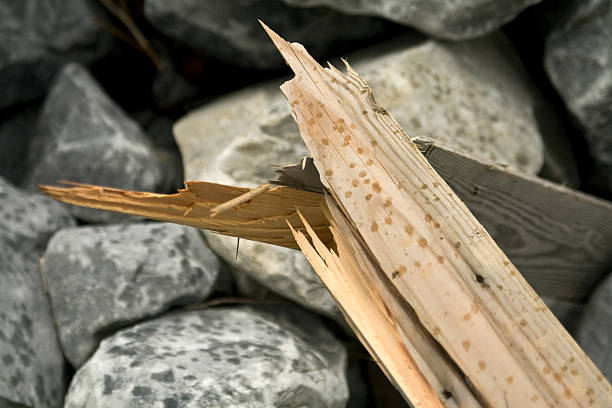 Broken piece of wood at the beach