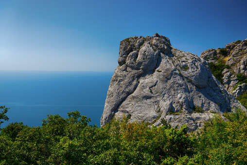 Landscape view of the hills of Crimea with mountains and green dwarf pines.