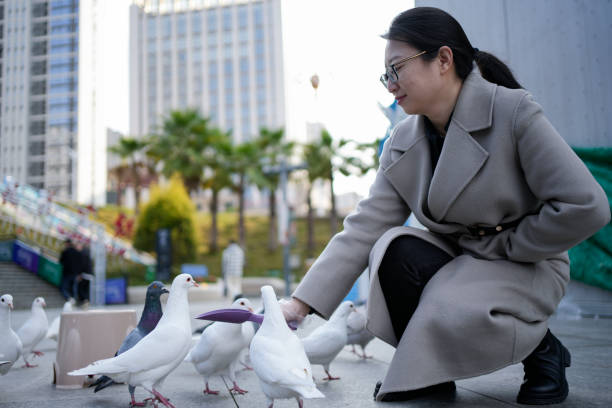 istock A woman is feeding pigeons 1458536144