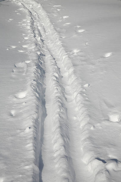 Cross Country Ski Track stock photo