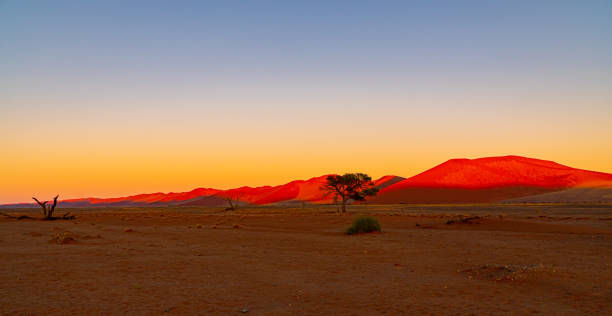 istock sunrise in the desert 1458545144