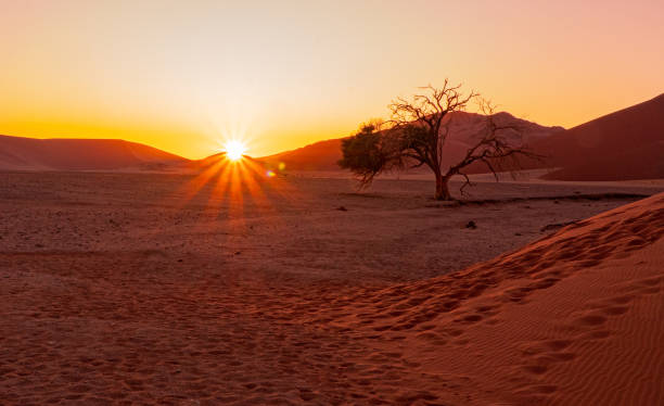 istock sunrise in the desert 1458545151