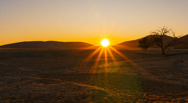 istock sunrise in the desert 1458545158