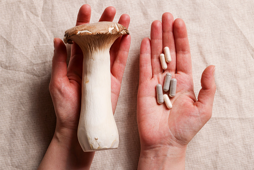 hands with mushrooms and natural herbal pills on textile gray background. environmental friendly , healthy, medical supplement concept.