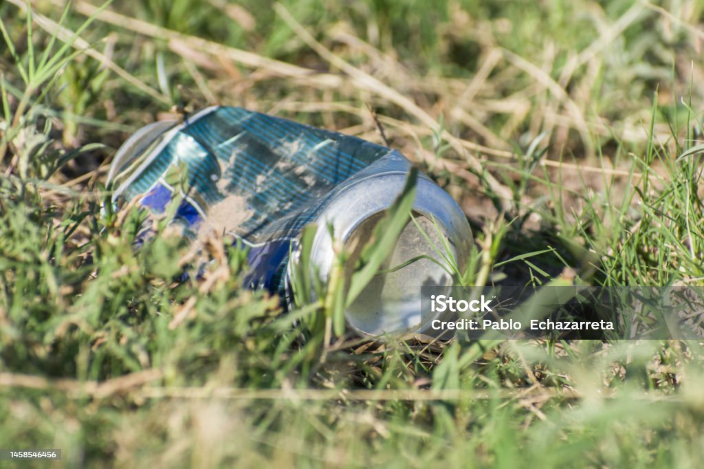 Beer Rings Polution Closeup Abandoned Beer Can In Wild Pollution Reference Stock Photo ...