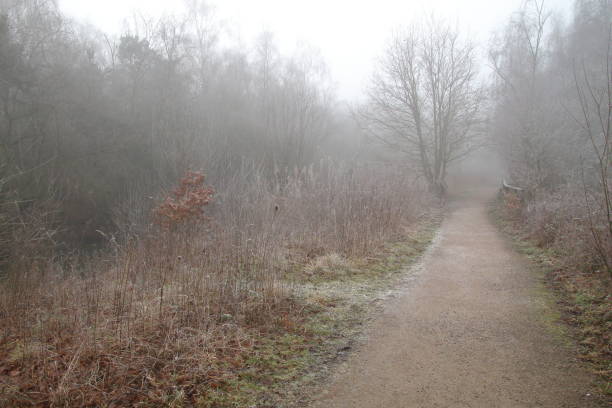 istock Morning frost covered meadow path 1458547215