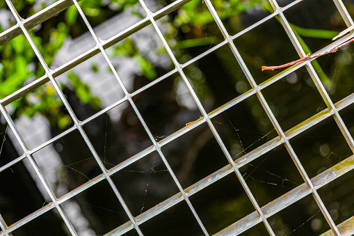 Drain grate with water underneath in Germany.