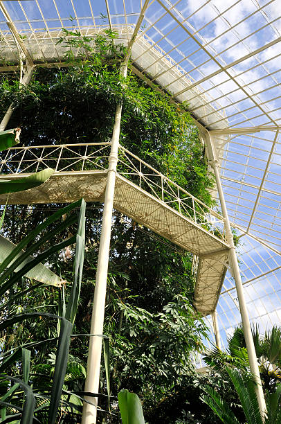 istock Botanic Gardens - Dublin Ireland 145854901