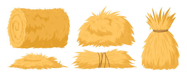 Cartoon agricultural haycocks. Bale of hay, rural haystack, rolled stack and fodder straw, dried farm haystacks flat vector illustration set on white background Cartoon agricultural haycocks. Bale of hay, rural haystack, rolled stack and fodder straw, dried farm haystacks flat vector illustration set on white background sack barrow stock illustrations