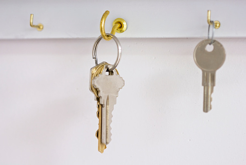 Keys hanging on hooks of a key rack.