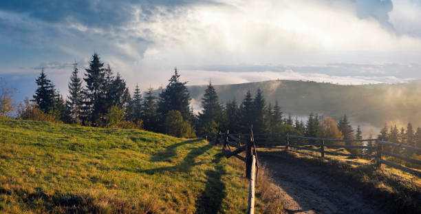 istock Misty daybreak in autumn Carpathian mountain, Ukraine. 1458552633