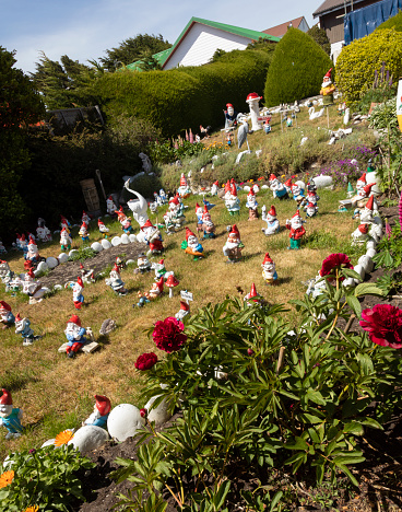 A lawn filled with garden gnomes in Port Stanley, Falkland Islands.