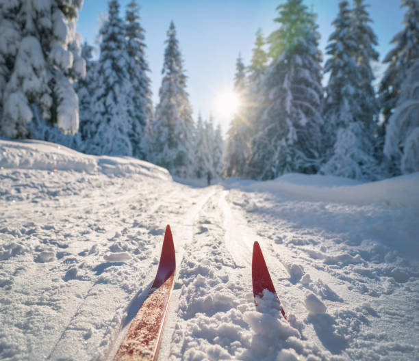 Cross-country skiing in Oslo, Norway