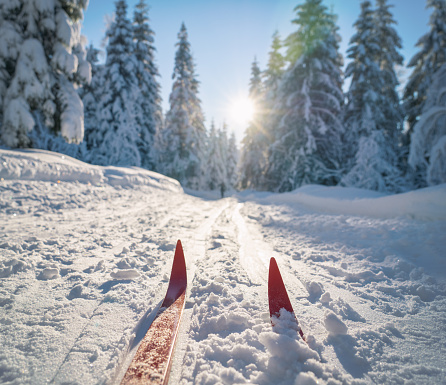 Low angle image of cross-country skis in Nordmarka forest area in the hills of Oslo.