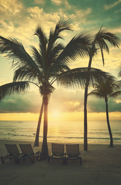 istock Tropical beach at sunset, summer vacation concept. 1458556905