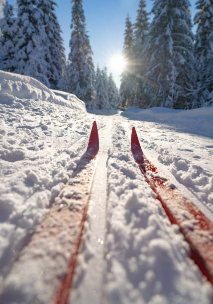 istock Cross-country skiing in Oslo, Norway 1458558413