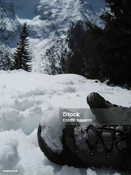 Photo libre de droit de Chaussure Dans La Neige Tyroltyrol banque d'images et plus d'images libres de droit de Alpes européennes - Alpes européennes, Arbre, Beauté