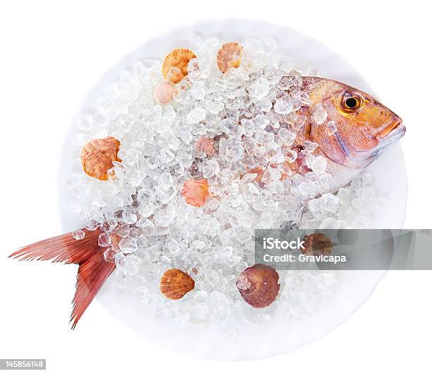 Gilthead En Hielo Foto de stock y más banco de imágenes de Frescura - Frescura, Pez delfín, Recortable