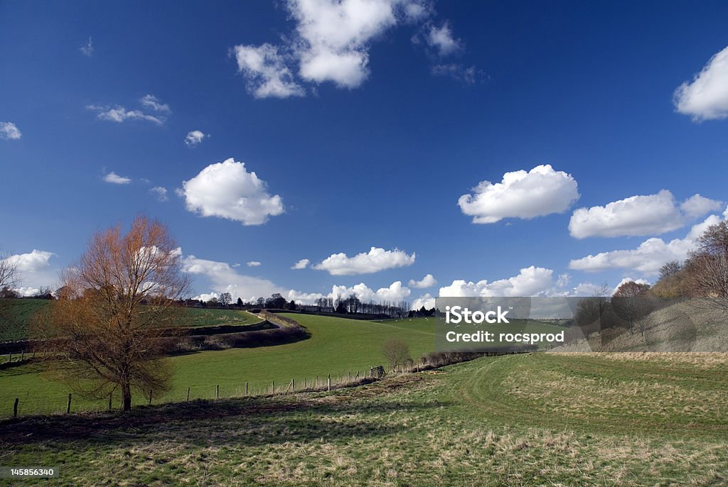 Paesaggio del Cotswolds. Inghilterra - Foto stock royalty-free di Agricoltura