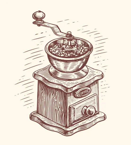 Vector illustration of Retro manual coffee grinder with coffee beans, hand drawing sketch engraving style. Vintage vector illustration