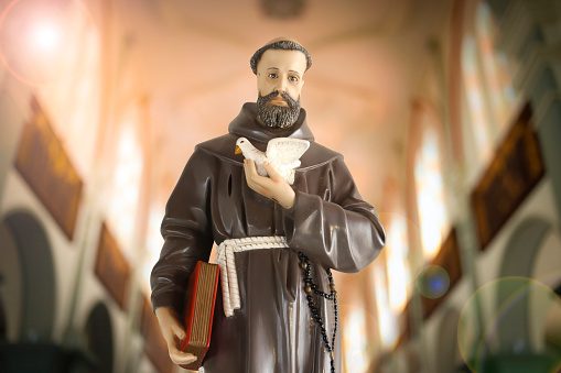 Saint Francis of Assisi of the Catholic Church - St Francis