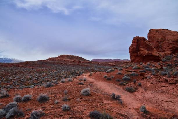 istock Chuckawalla and Turtle Wall trail desert hiking views Cliffs National Conservation Area Wilderness, Snow Canyon State Park St George, Utah, United States. 1458567148
