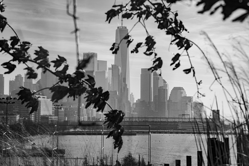 Black and white image of lower Manhattan shot through tree branches on a sunny winter day
