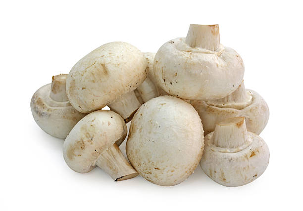 istock A pile of white field mushrooms  145856936