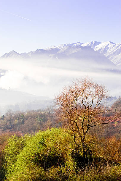 Paisaje de niebla - foto de stock