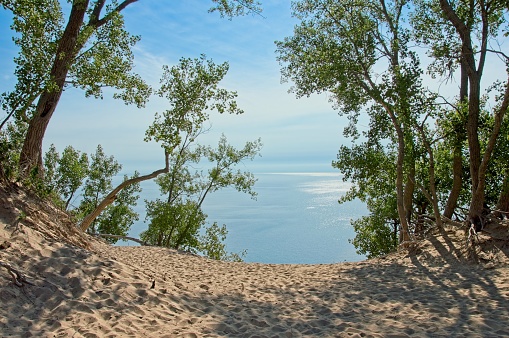 Large dunes and dune grass along the vastness of Lake Michigan at Sleeping Bear Dunes National Lakeshore. Trees on the edge of the slope that descends abruptly into Lake Michigan.