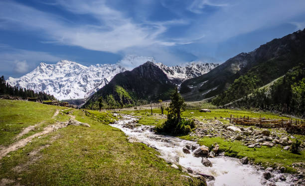 wędrówka na nanga parbat w himalajach - glacier himalayas frozen lake zdjęcia i obrazy z banku zdjęć