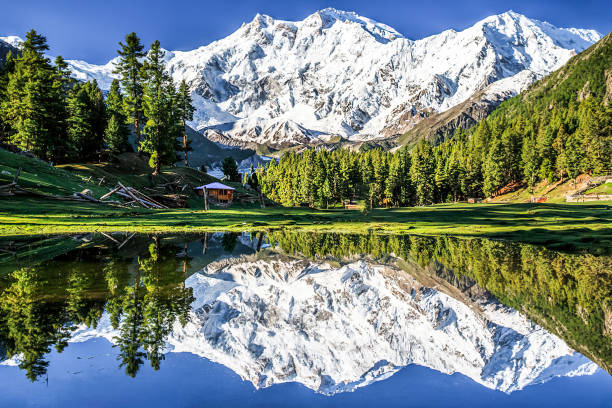 odbicie szczytu nanga parbat w jeziorze fairy meadows - glacier himalayas frozen lake zdjęcia i obrazy z banku zdjęć