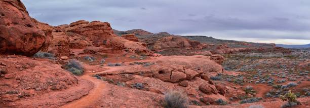 istock Chuckawalla and Turtle Wall landscape views from trail  Cliffs National Conservation Area Wilderness Snow Canyon State Park St George, Utah, United States. 1458572403