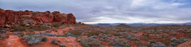 istock Chuckawalla and Turtle Wall landscape views from trail  Cliffs National Conservation Area Wilderness Snow Canyon State Park St George, Utah, United States. 1458572431