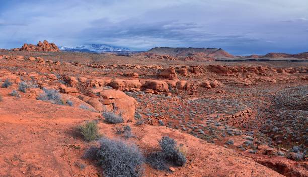 istock Chuckawalla and Turtle Wall landscape views from trail  Cliffs National Conservation Area Wilderness Snow Canyon State Park St George, Utah, United States. 1458572562