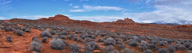 istock Chuckawalla and Turtle Wall landscape views from trail  Cliffs National Conservation Area Wilderness Snow Canyon State Park St George, Utah, United States. 1458573444