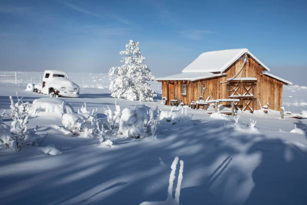 Log cabins during blizzard, Valley Forge National Historic Park, Pennsylvania, USA