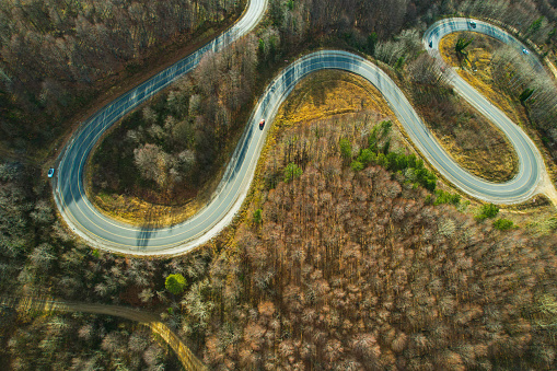 winding mountain road in wooded area with trees. ecological way