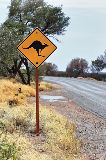 W5-29-1 road sign: black kangaroo picto on diamond-shaped yellow background warns drivers to pay attention to potentially hazardous animals that can be roaming on the roads. Petermann-NT-Australia.