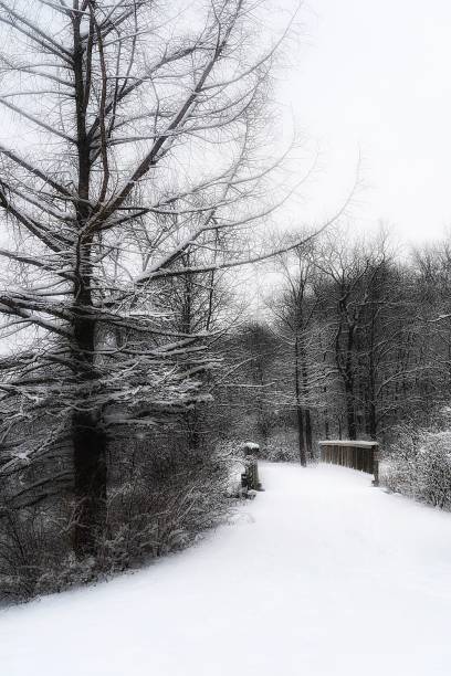 Bridge Covered in Snow stock photo