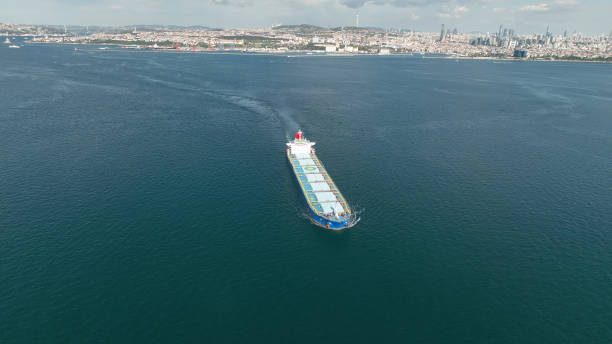 istock Aerial view of cargo ship in transit. 1458577712